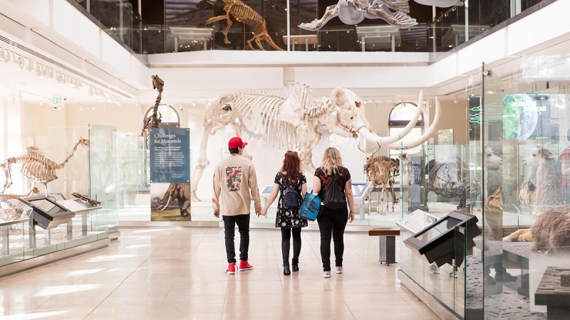 Espaço do Museu de História Natural de Los Angeles