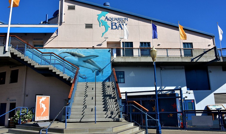 Aquarium of the Bay em San Francisco