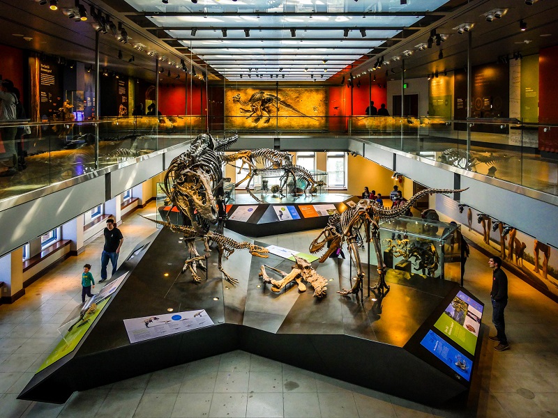 Dinosaur Hall - Museu de História Natural de Los Angeles
