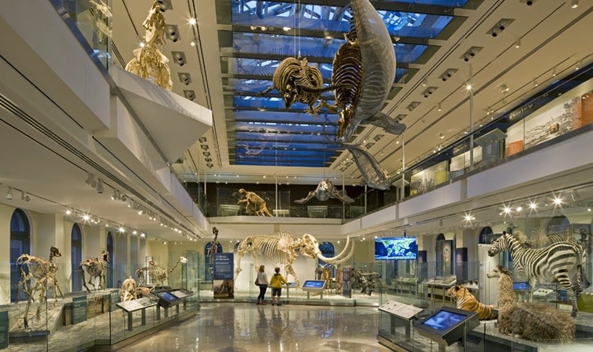  Museu de História Natural de Los Angeles 