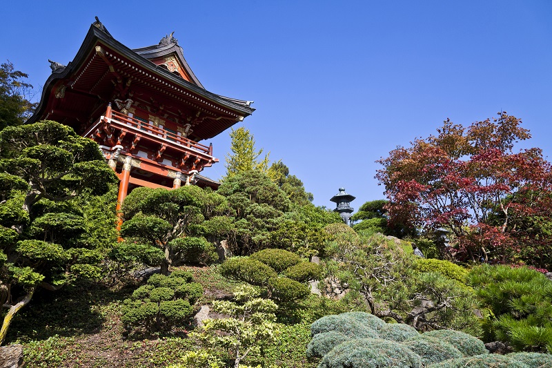 Japanese Tea Garden - San Francisco