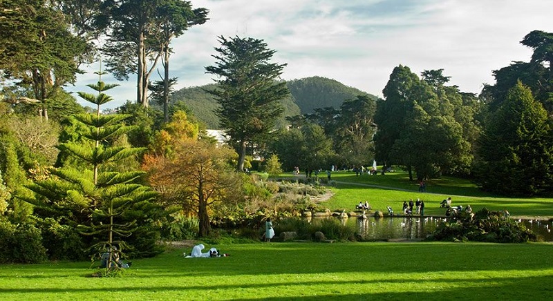 Área verde do Golden Gate Park em San Francisco