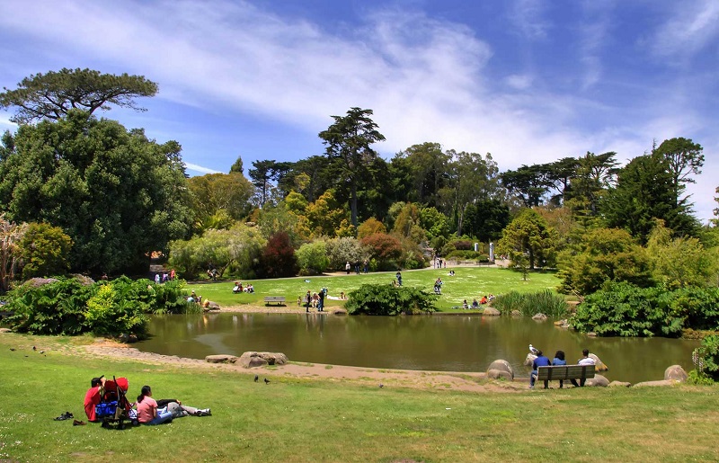 Jardim Botânico no Golden Gate Park
