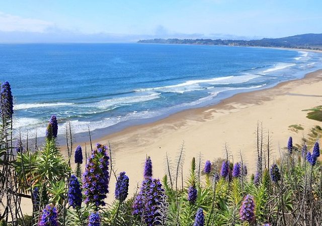 Melhores praias de San Francisco