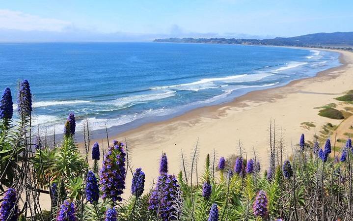 Top 10 das melhores praias em San Francisco