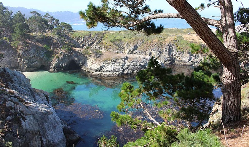 Point Lobos State Natural Reserve em Big Sur