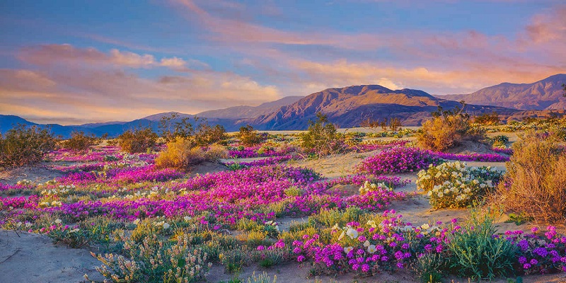 Beleza do Parque Nacional do Vale da Morte na Califórnia