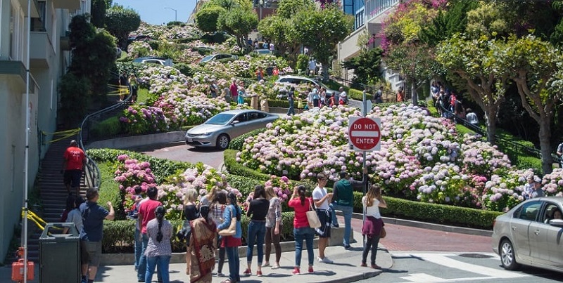 Tirando fotos na rua Lombard Street - San Francisco