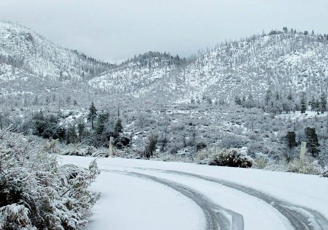Onde ver neve na Califórnia e nos arredores?