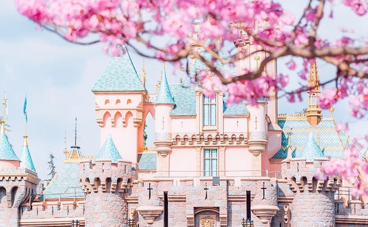 Primavera na Disney Califórnia