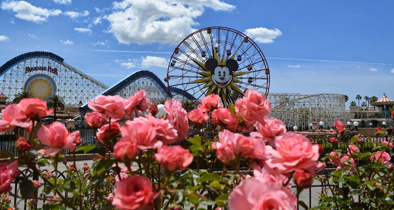 Primavera na Disneyland California